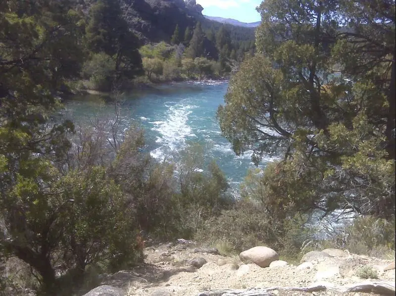 Terreno de 3 hectáreas en Venta con Costa del Rio Caleufu - Neuquen 1