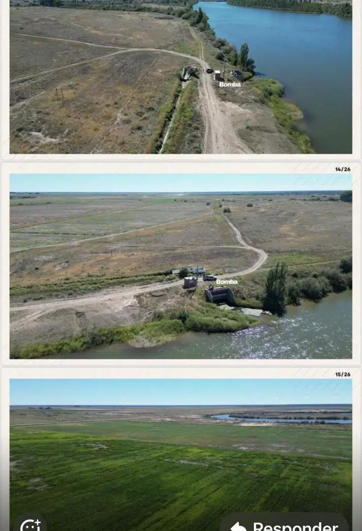 Campo de 875 has. en Venta - en Guardia Mitre Pcia de Río Negro 3