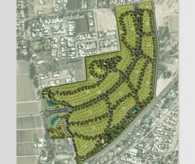 Plano 5