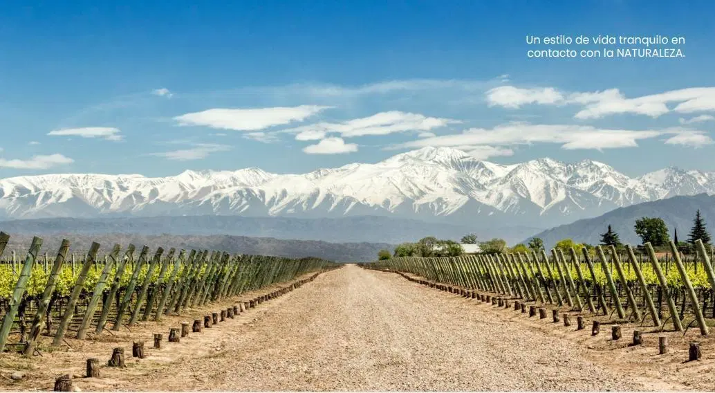 Lote en Venta Chacras de Coria - Parque isla en Proyecto Qvattro Viamonte - Mendoza 4
