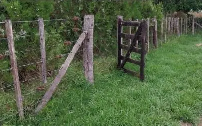 Dos Lotes Rurales en Venta – 130.000 m² Totales con Acceso Directo sobre Camino Mejorado 4