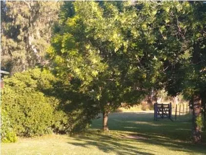 Campo Mixto de 88 Has en Zapiola con Casa, Pileta y Excelente Acceso 2