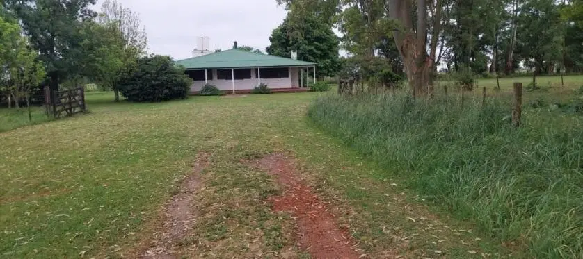 Campo Mixto de 88 Has en Zapiola con Casa, Pileta y Excelente Acceso 2