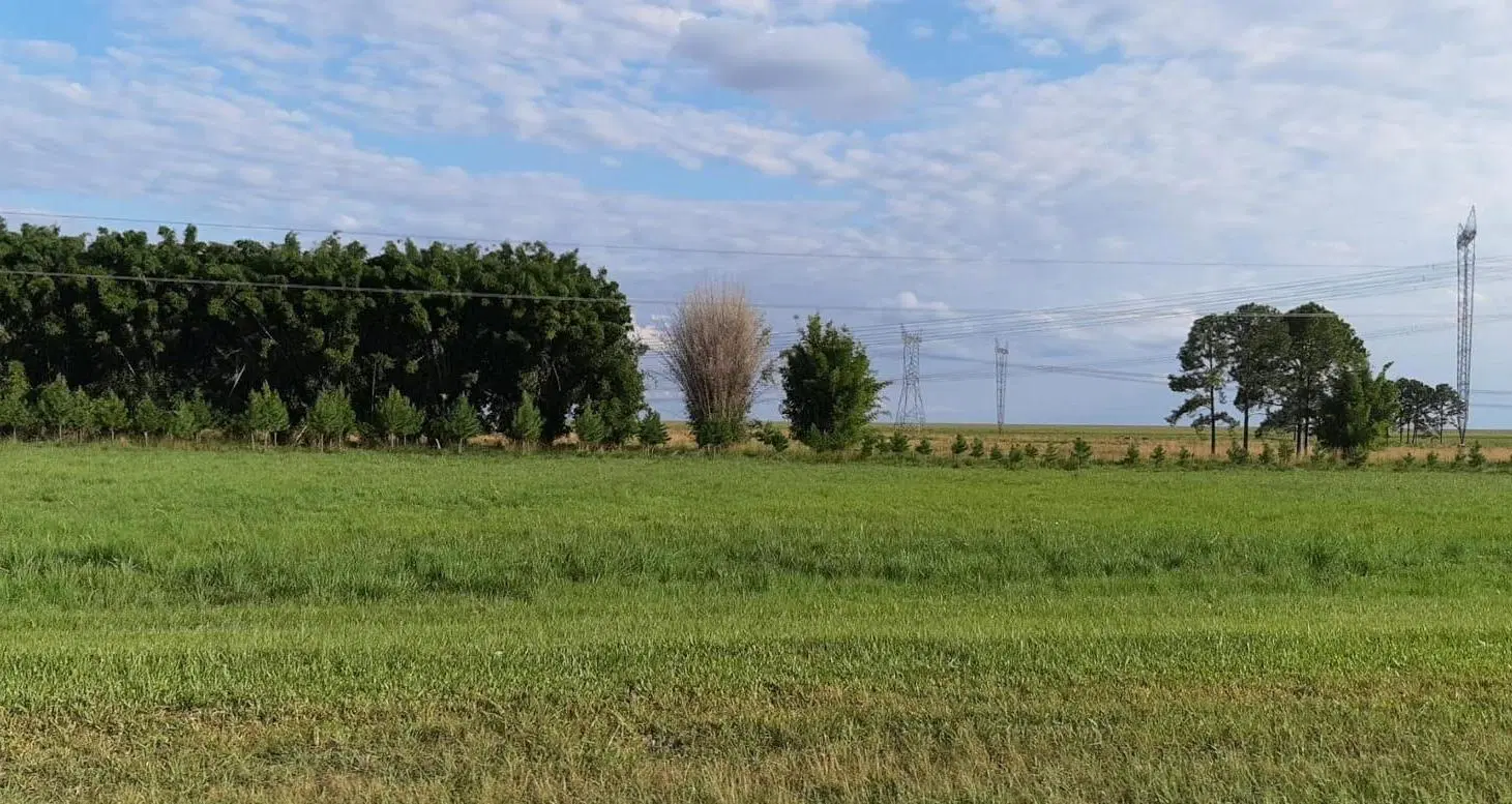 Campo en Ituzaingó - Venta 2