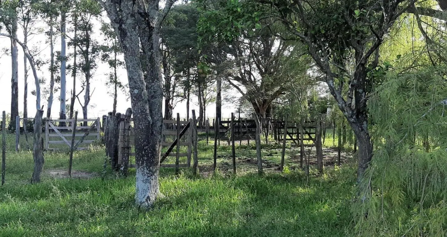 Campo en Ituzaingó - Venta 5