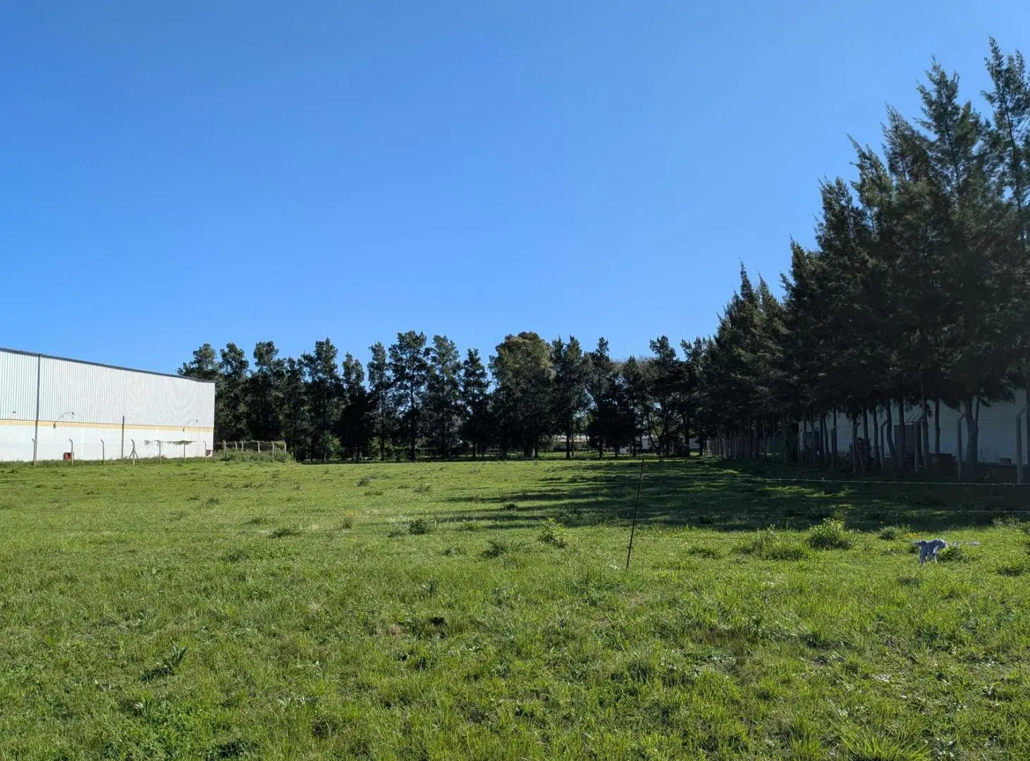 Lotes en Venta en Parque Industrial Campana 4