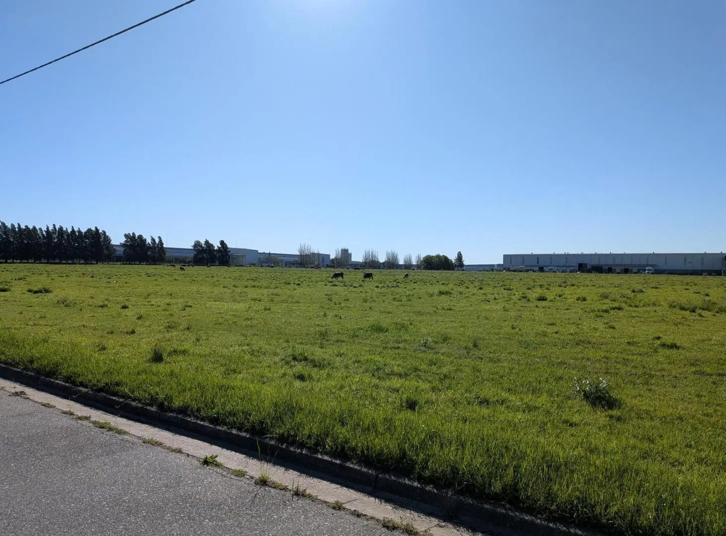 Lotes en Venta en Parque Industrial Campana 3