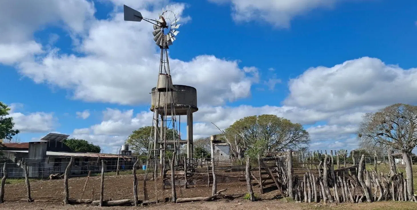 Campo ganadero y arrocero en zona centro de Corrientes 3