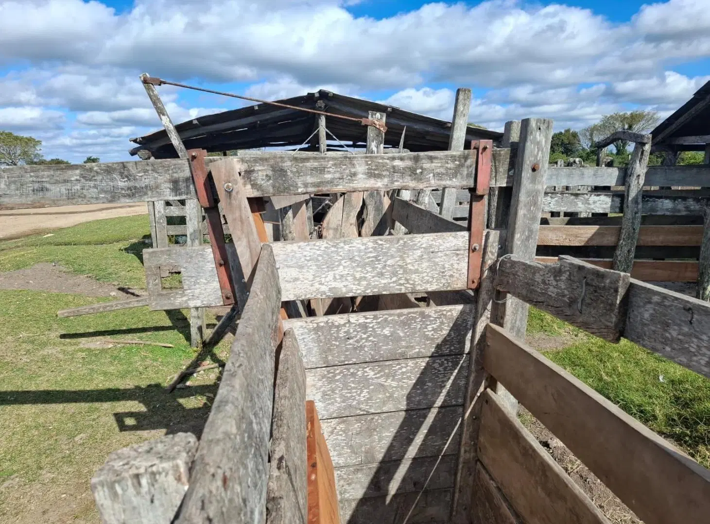 Campo ganadero y arrocero en zona centro de Corrientes 4