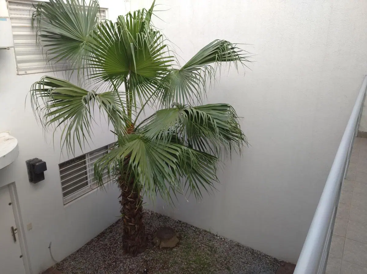 Departamento Monoambiente con Balcón en Venta - Saavedra 5