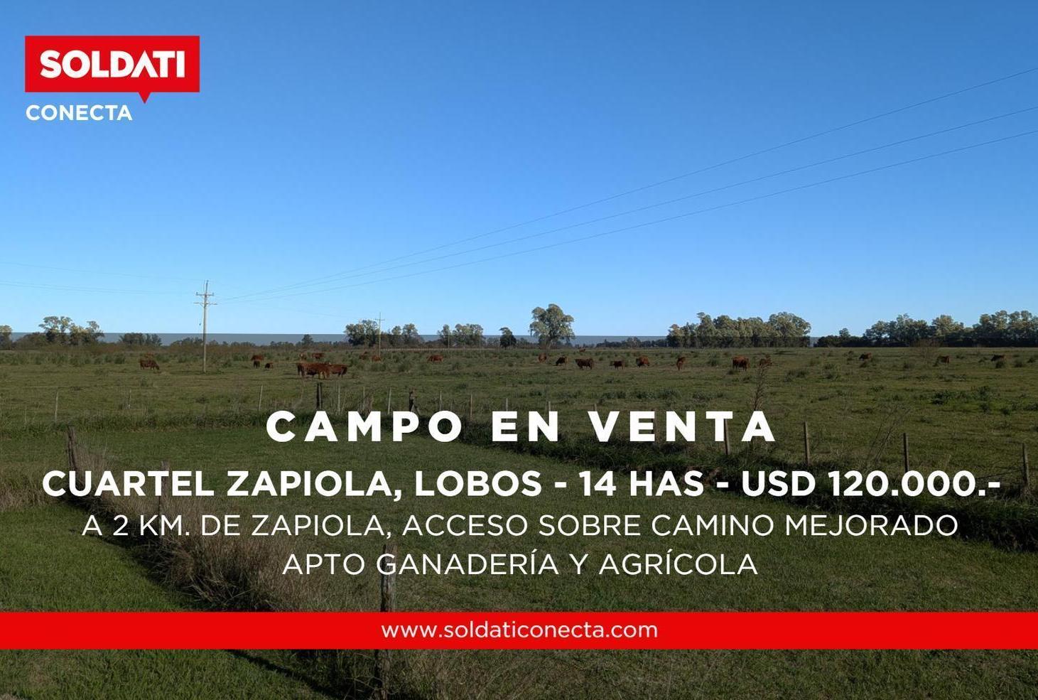 Foto de Campo de 14 has. en Cuartel Zapiola apto ganadería y agrícola, Lobos, pcia de Buenos Aires, imagen 5