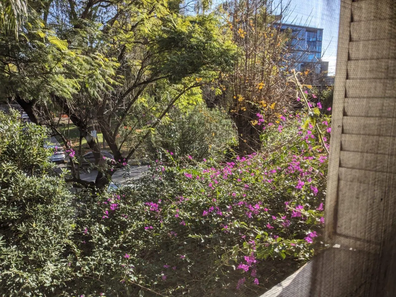 Terreno con Casa de 4 plantas Pileta y Parilla en Venta - Barrio Parque - Palermo 3