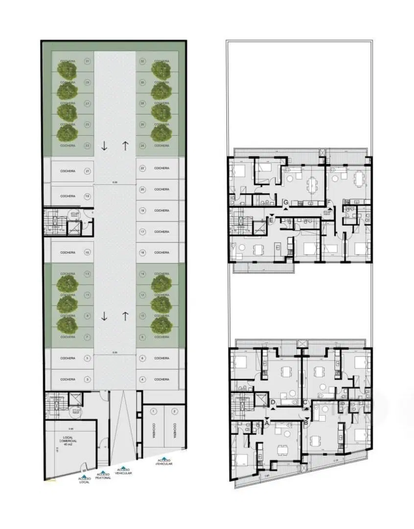 Plano 3