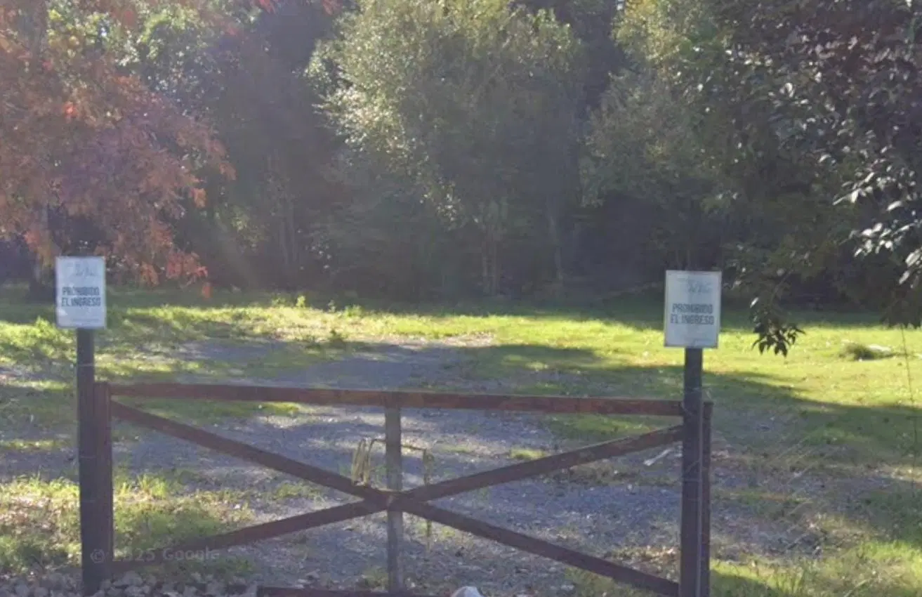 Venta de Lote de 10.000 m2 en Manuel Alberti - Del Viso 4