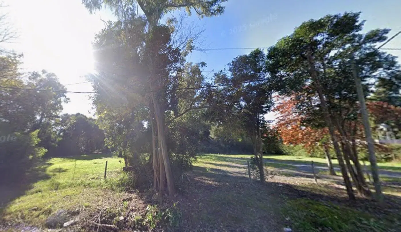 Venta de Lote de 10.000 m2 en Manuel Alberti - Del Viso 5