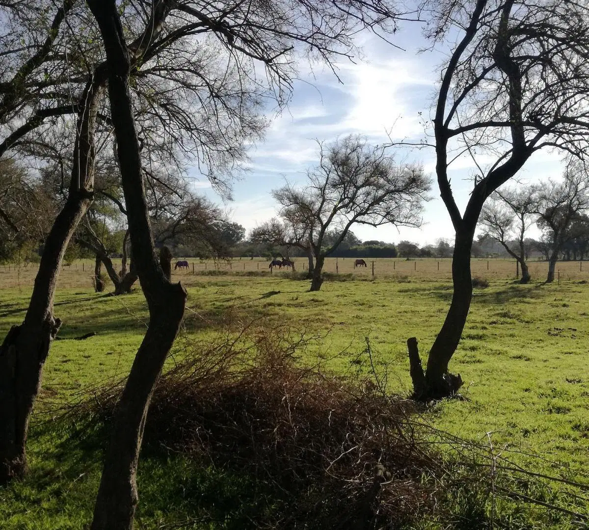 Terreno de 1,2 hectáreas con casa y pileta en Los Cardales 3