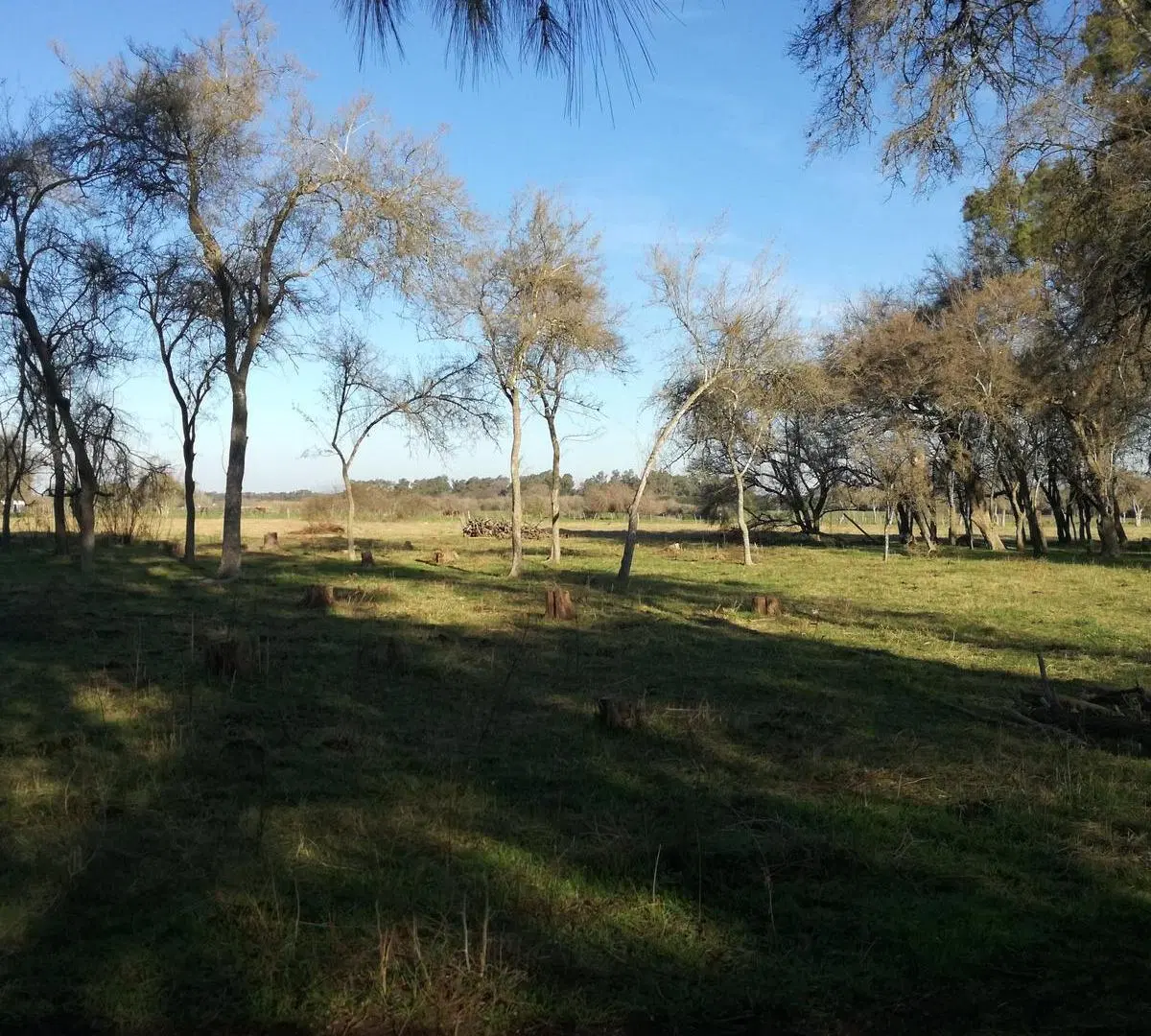 Venta de fracción 2,5 hectáreas con casa de campo, galpón y pileta en Cardales 5
