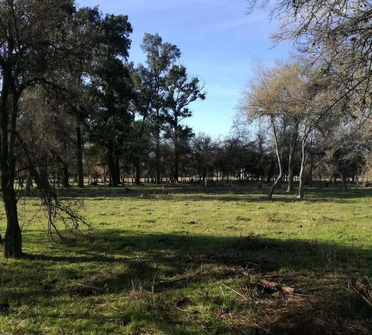 Venta de fracción 2,5 hectáreas con casa de campo, galpón y pileta en Cardales 3