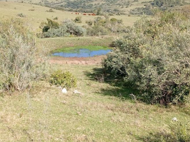 Foto de Chacra en venta en Sierra de Carapé, Uruguay, imagen 1
