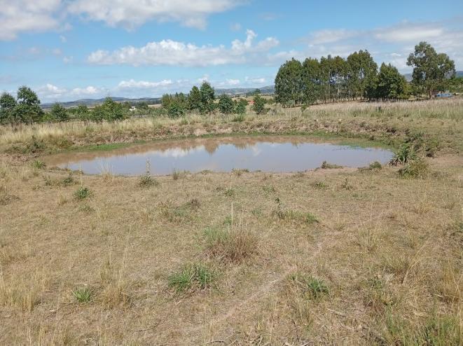 Foto de Chacra en venta Ruta 39, San Carlos Uruguay, imagen 1