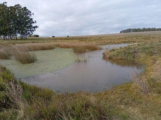 Foto de Chacra en Venta en Camino a Laguna del Sauce, Maldonado, imagen 1