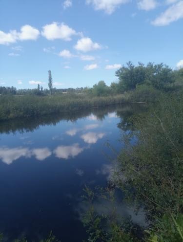 Foto de Chacra en venta 12 hectáreas en Corte de la Leña — con opción de, imagen 1