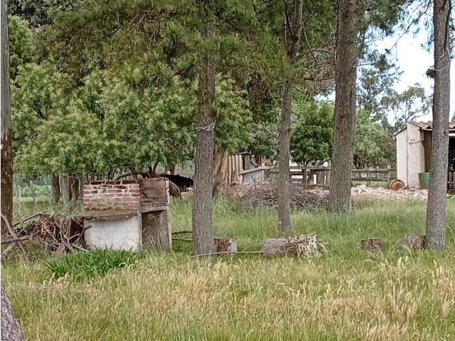 Foto de Hermosa chacra en venta en San Carlos, Uruguay, imagen 4