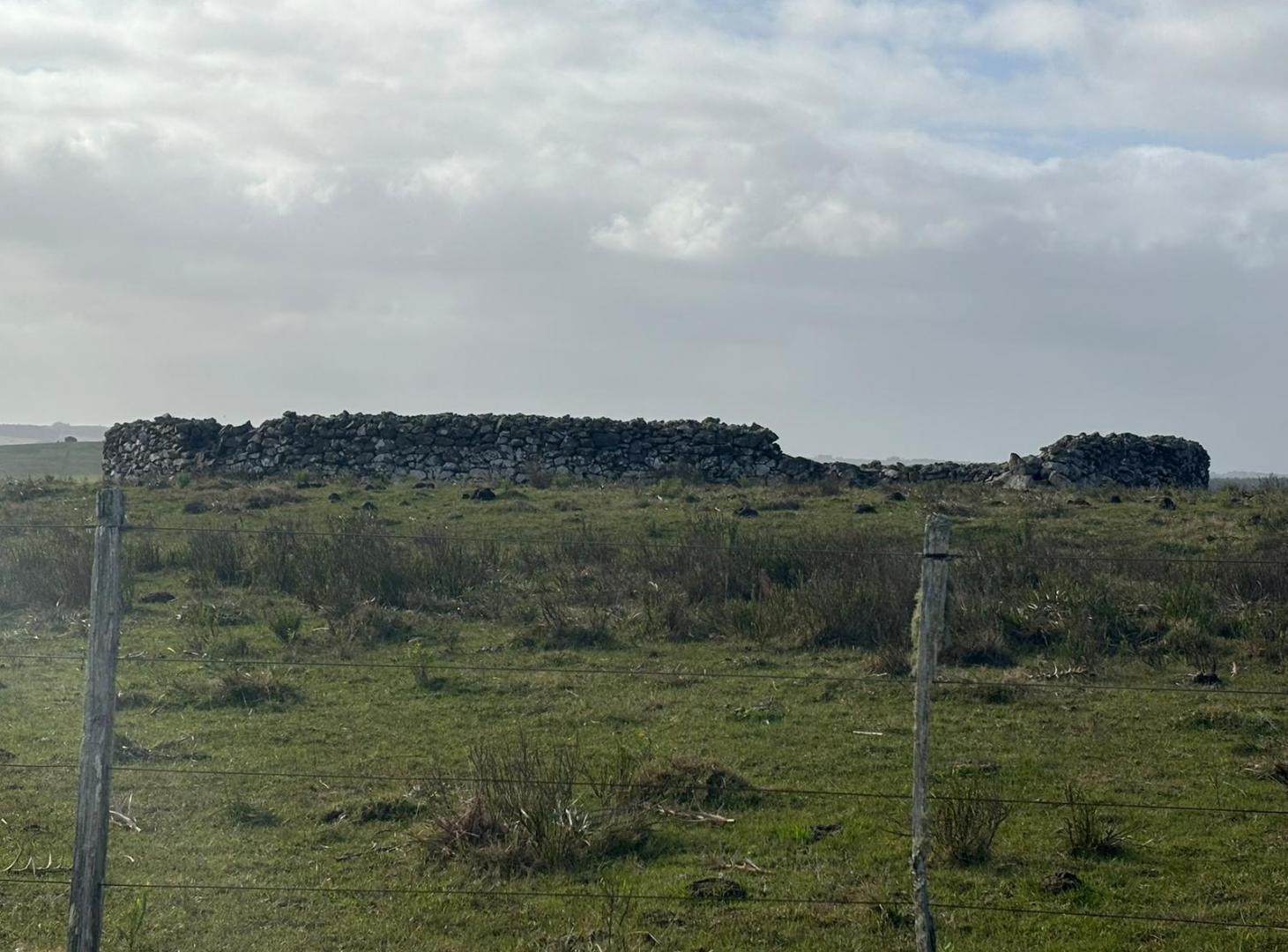 Foto de Hermosa Chacra de 2,5has en José Ignacio- Venta, imagen 4