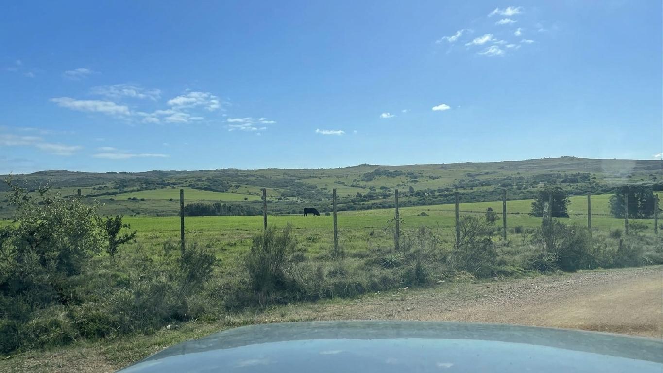 Foto de Hermosa Chacra de 2,5has en José Ignacio- Venta, imagen 3