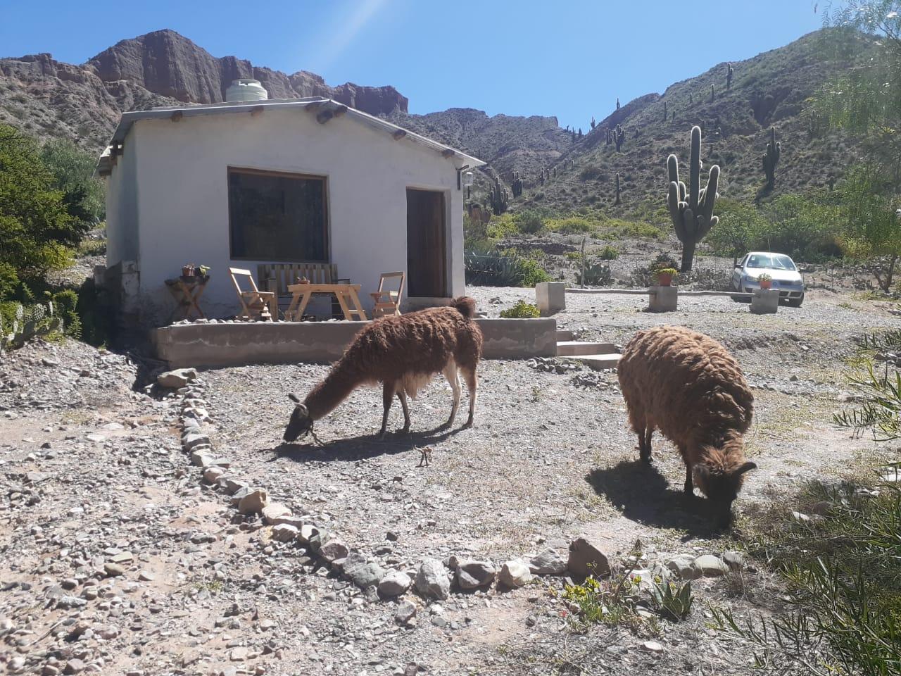 Foto de Alquiler Complejo Turístico en Maimará Jujuy 4 Cabañas, 14 Plazas y, imagen 2