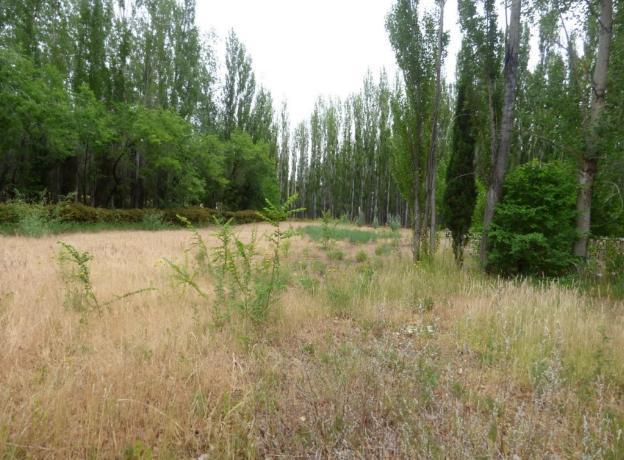 Foto de Campo 165000 has. apto ganadería con infraestructura y costa sobre Río, imagen 1
