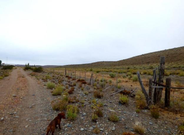 Foto de Campo 165000 has. apto ganadería con infraestructura y costa sobre Río, imagen 2