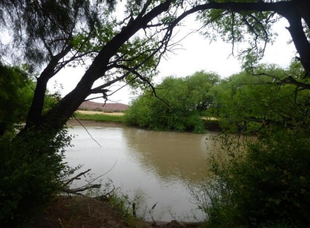 Foto de Campo 165000 has. apto ganadería con infraestructura y costa sobre Río, imagen 3