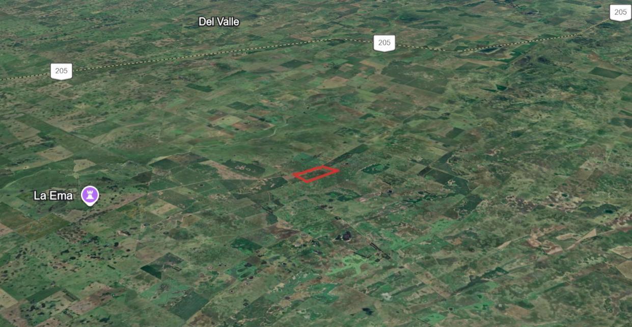 Foto de Campo mixto de 75 hectáreas en Gral.Alvear - Venta, imagen 5