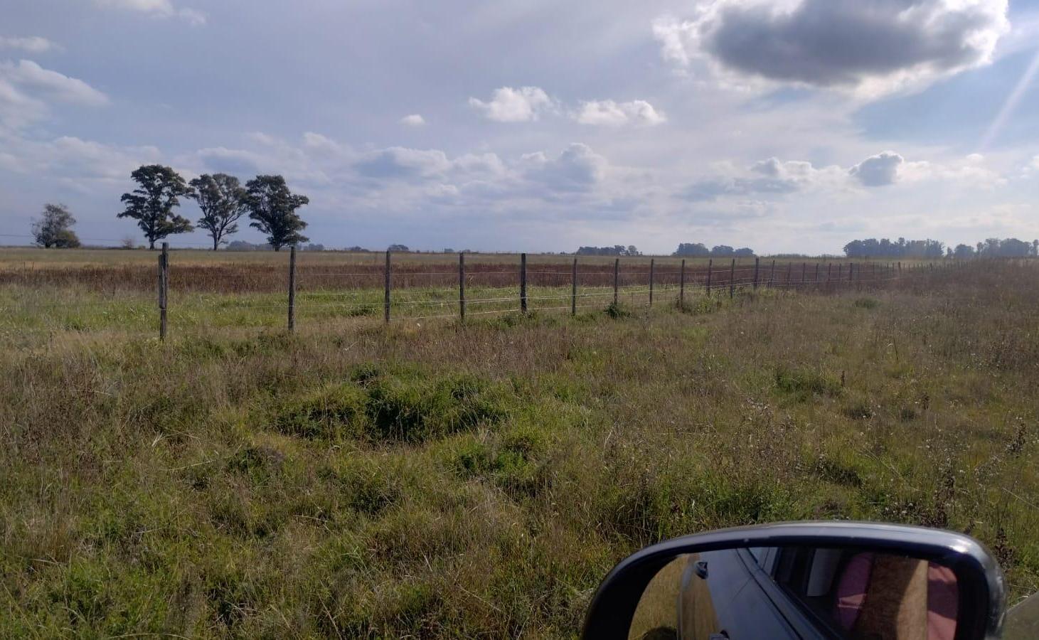 Foto de Venta en bloque de 6 parcelas, Campo agrícola - ganadero de 894 has en, imagen 3