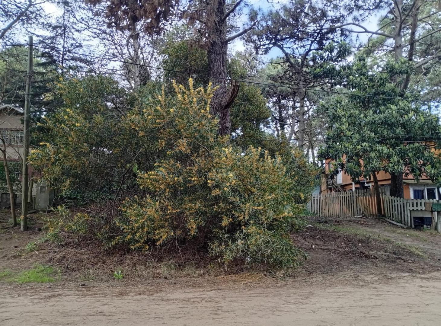 Foto de Terreno en venta en zona residencial en Valeria del Mar, imagen 1