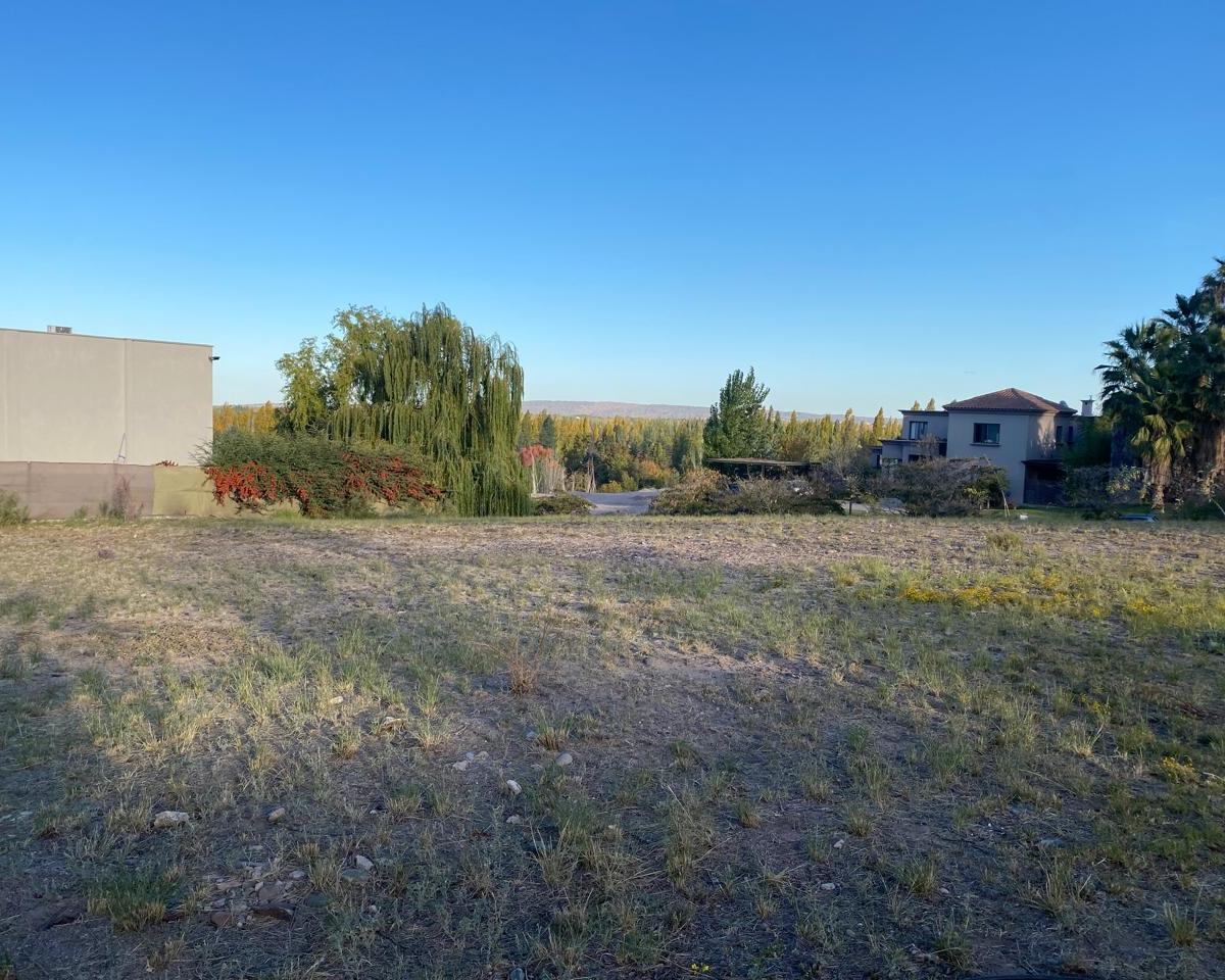 Venta | Terreno | B° Cerro Alto | Chacras de Coria | Luján de Cuyo | Mendoza 1