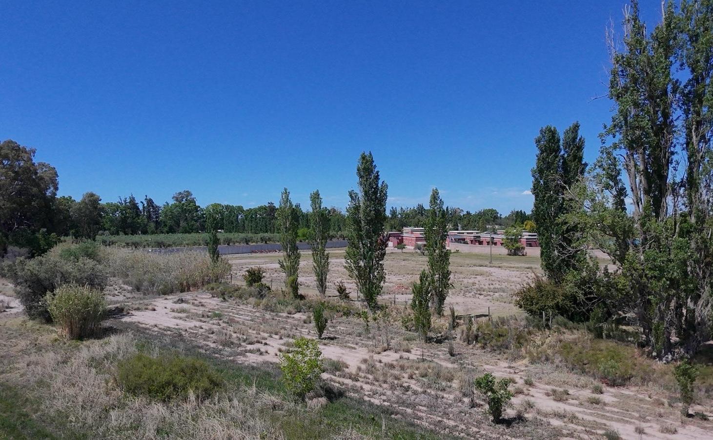 Foto de Venta | Mendoza | Maipu | Finca para desarrollo | 3 Hectareas, imagen 2