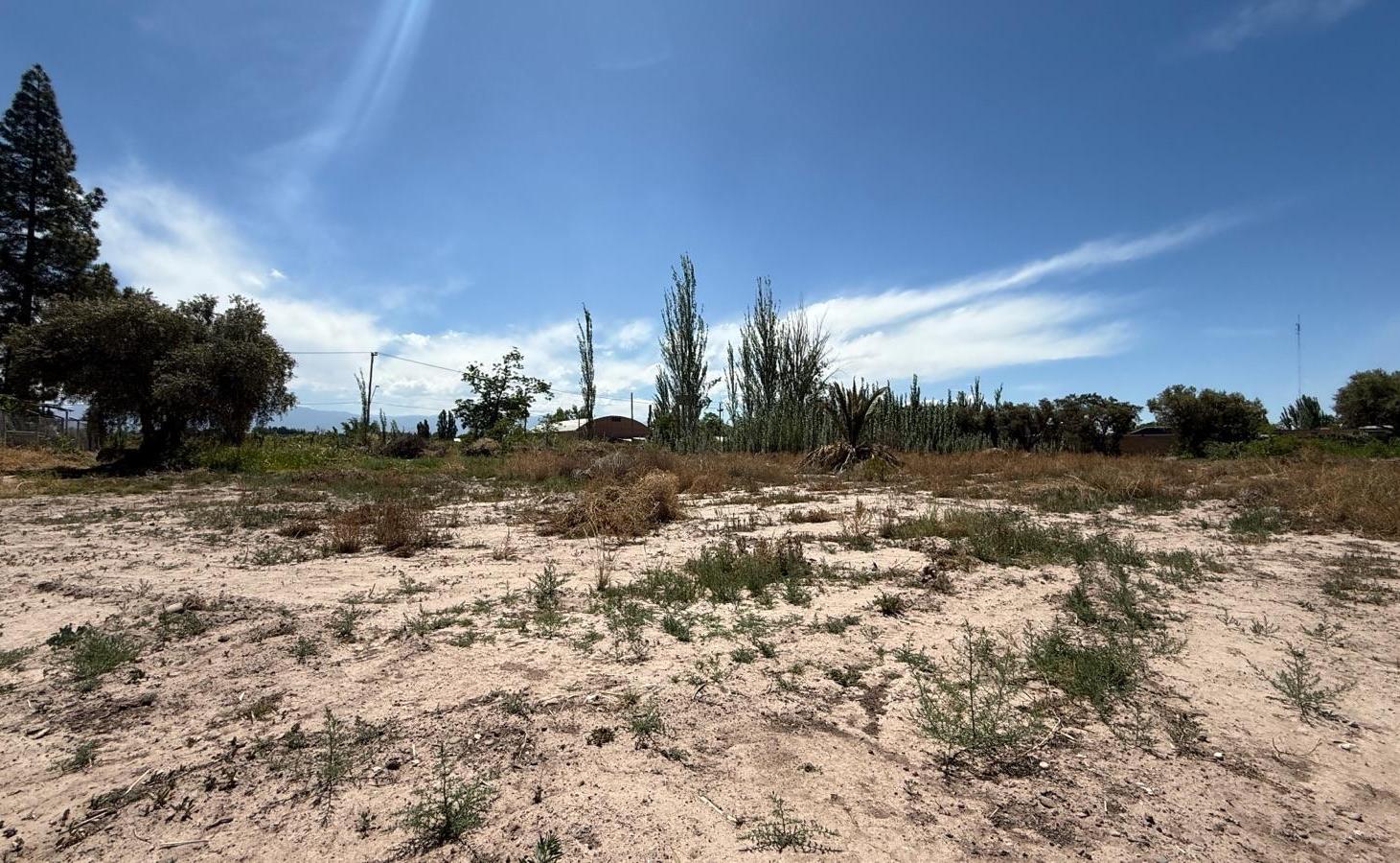 Foto de Venta | Mendoza | Maipu | Finca para desarrollo | 3 Hectareas, imagen 4