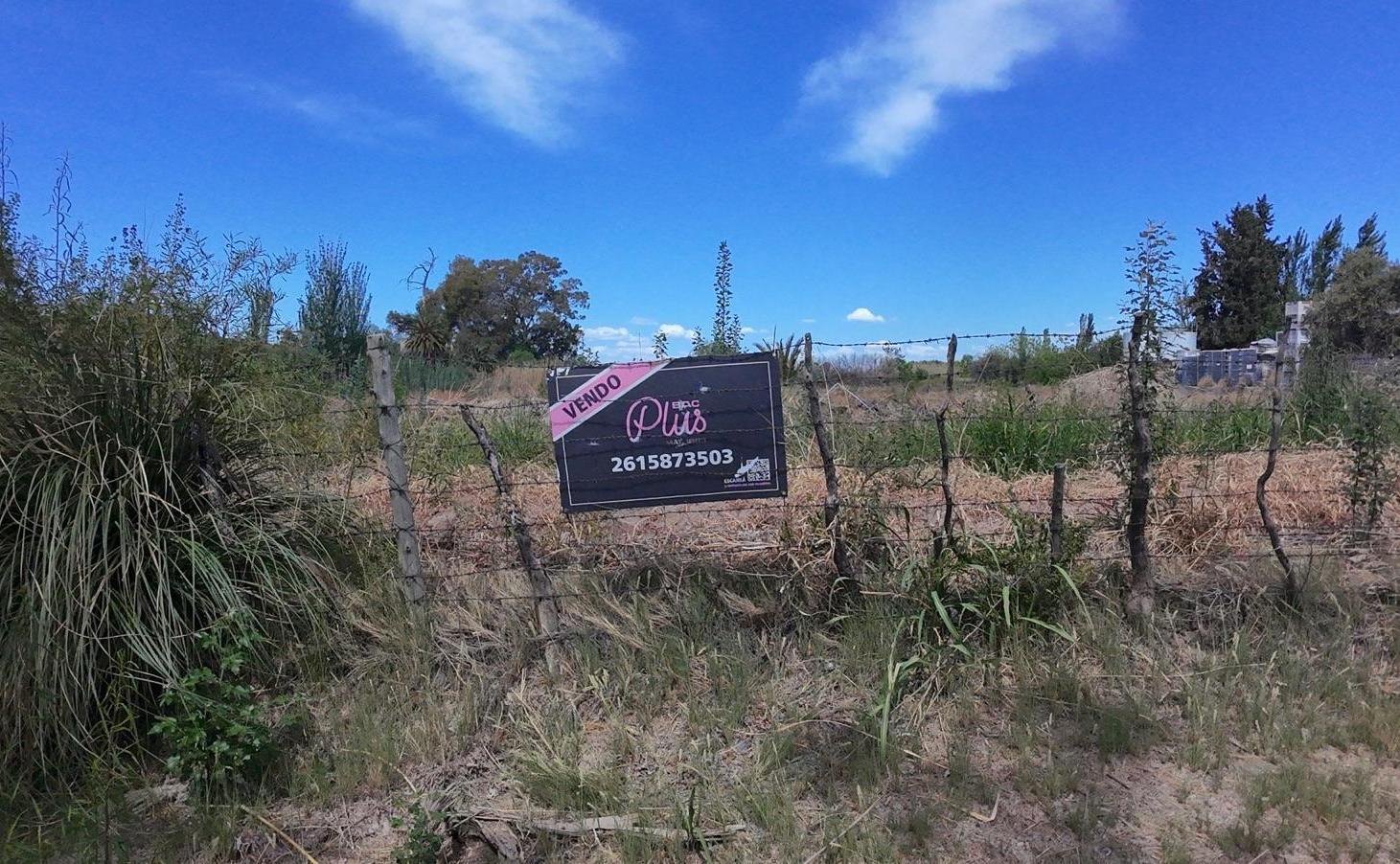 Foto de Venta | Mendoza | Maipu | Finca para desarrollo | 3 Hectareas, imagen 5