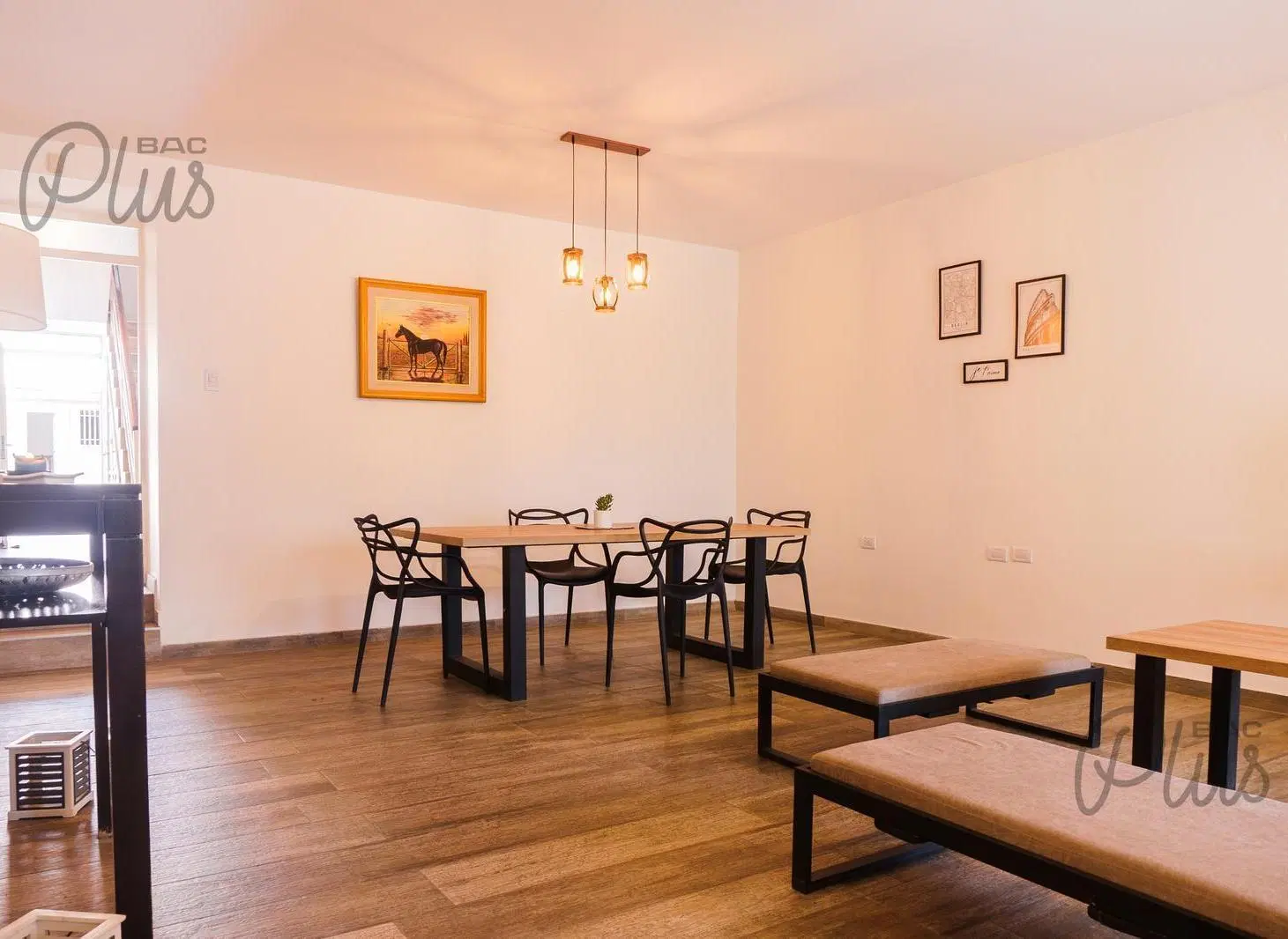 Venta | 5° Sección | Casa + 2 Departamentos | Airbnb activo 8