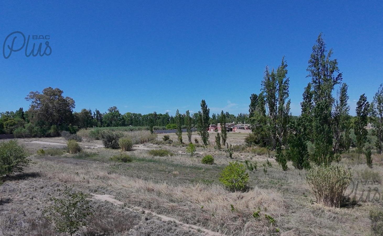 Foto de Venta | Mendoza | Maipu | Finca para desarrollo | 3 Hectareas, imagen 1