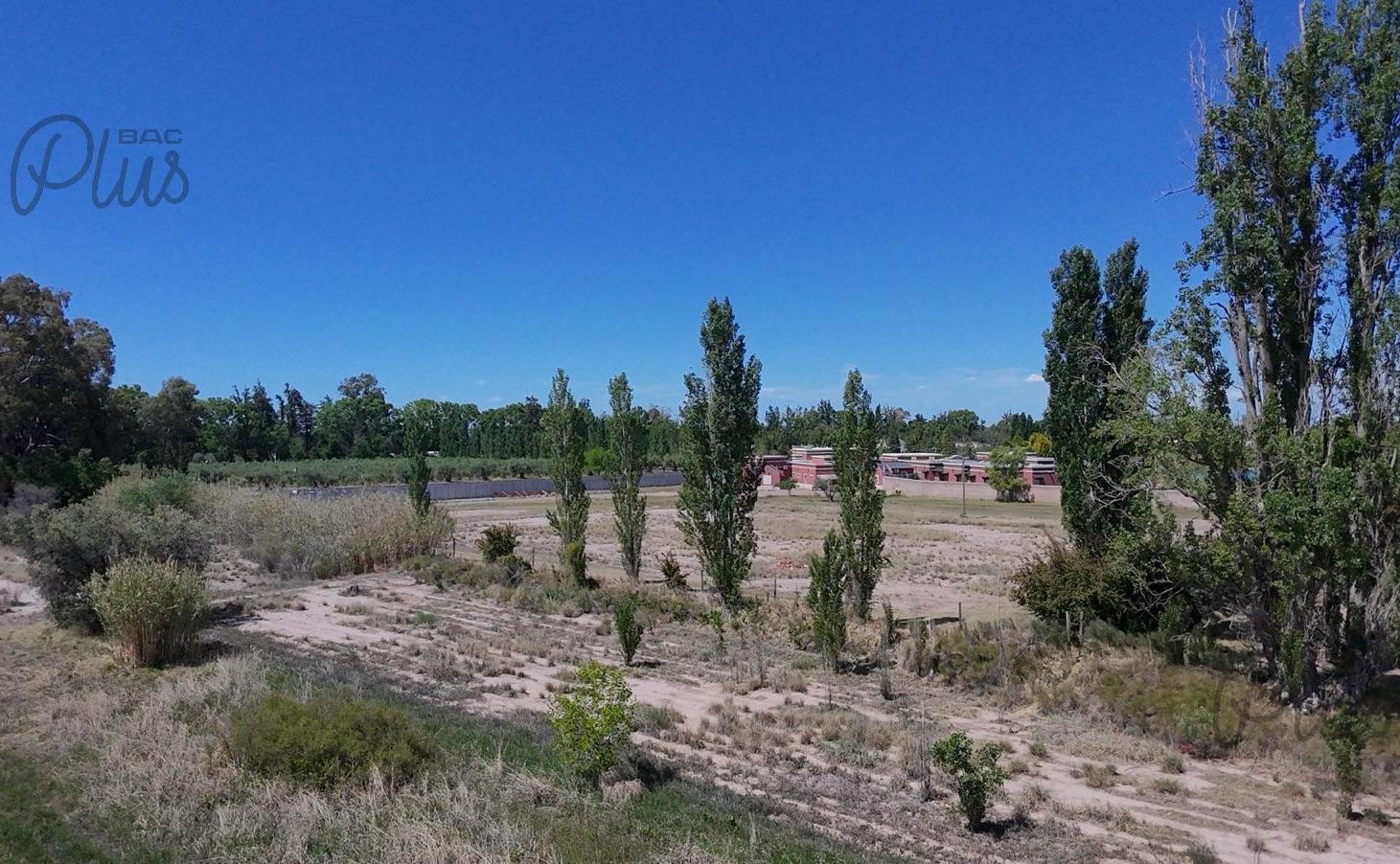 Foto de Venta | Mendoza | Maipu | Finca para desarrollo | 3 Hectareas, imagen 2