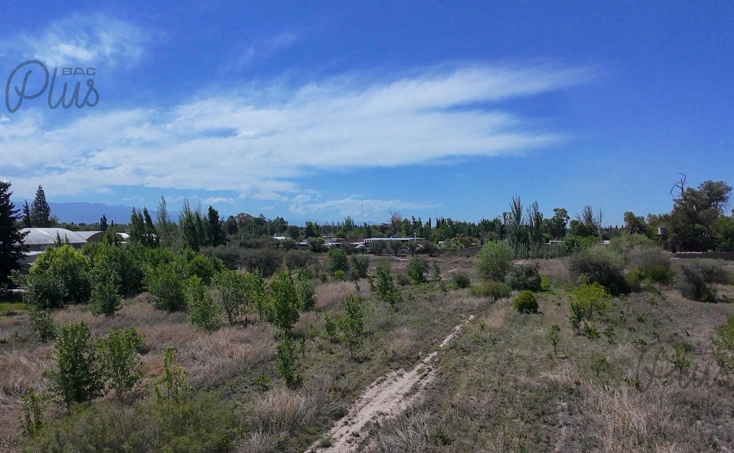 Foto de Venta | Mendoza | Maipu | Finca para desarrollo | 3 Hectareas, imagen 3