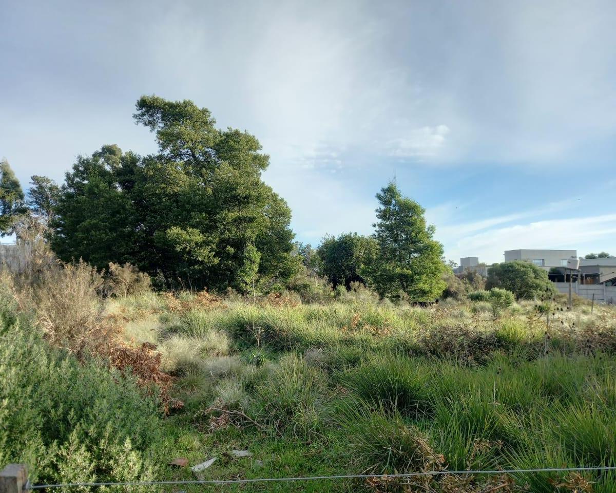Venta de Lote Calle Picheuta Al 500 de Tandil 5