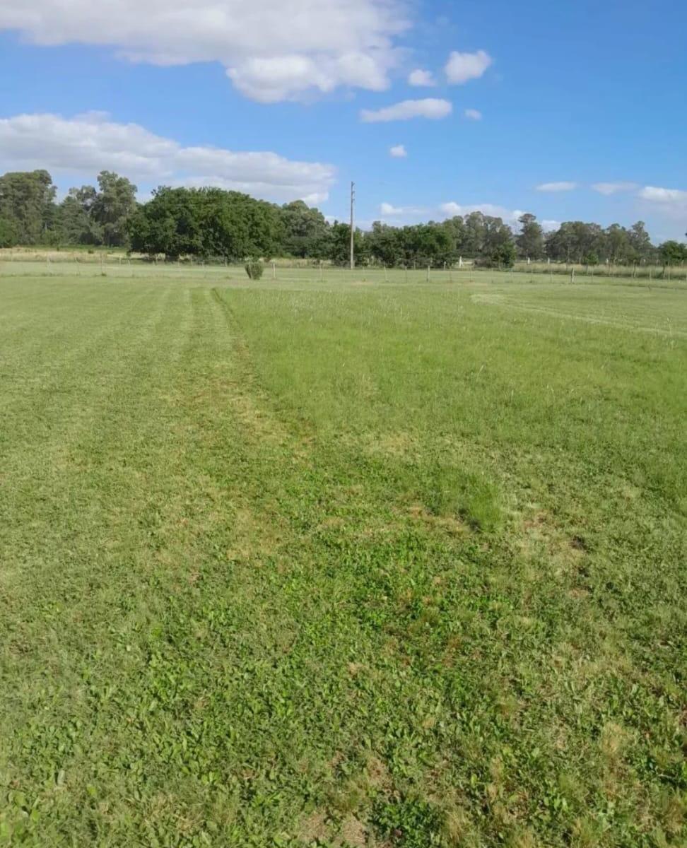 Venta de Lote en Calle de Patagonia y Los Huesos de Tandil U$d 65.000 2