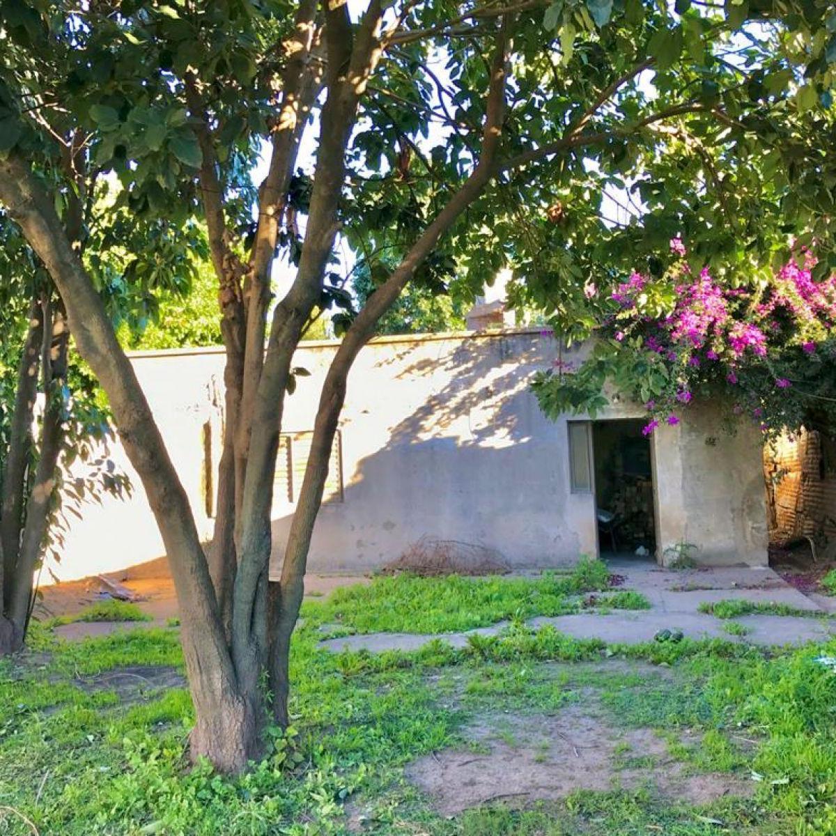 Terreno con Casa a Reciclar, San Lorenzo. 5
