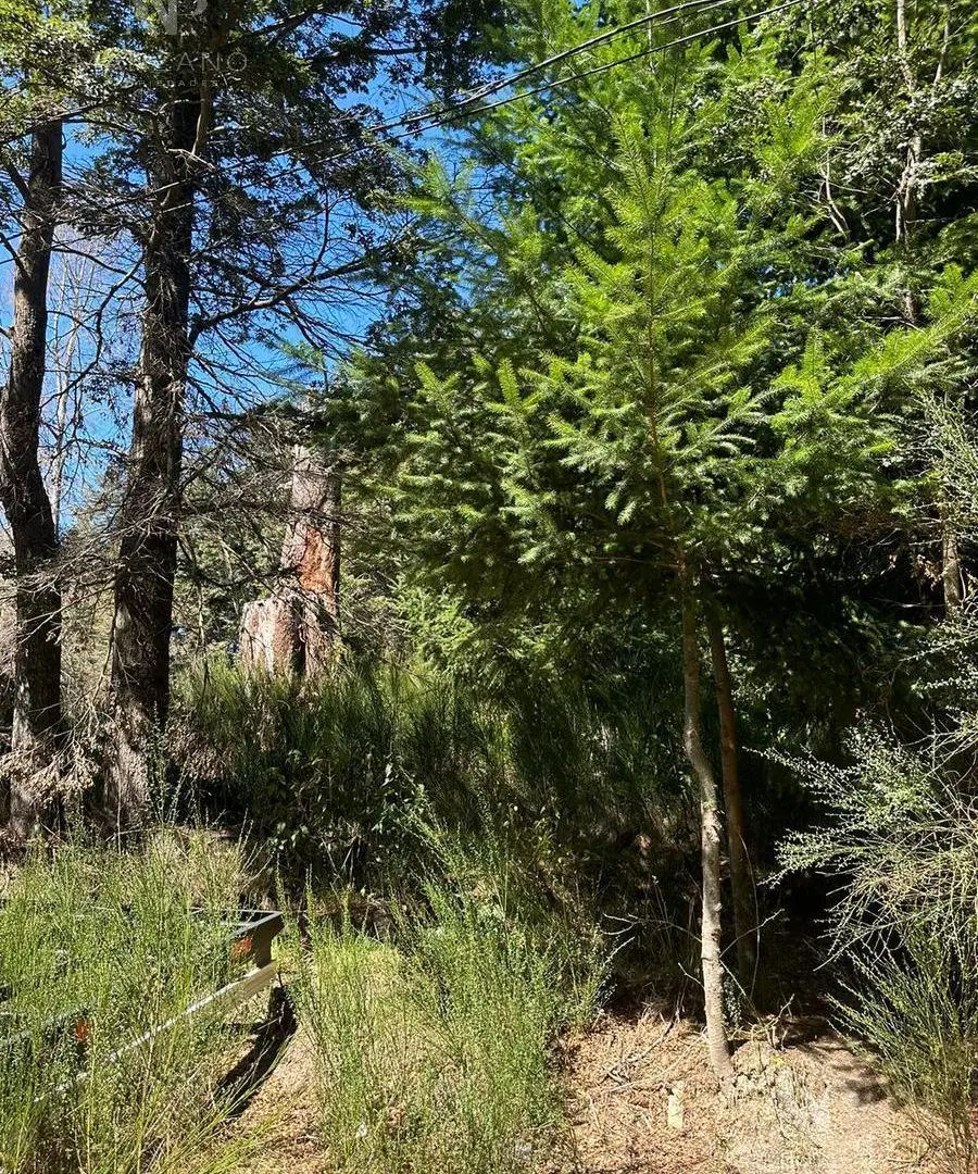 Venta Terreno - Lote 2228 m2 - Tres Cerros Villa la Angostura 4