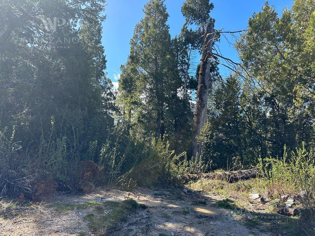 Foto de Venta Terreno - Lote 1261 m2 Barrio Selvana - Villa la Angostura, imagen 3