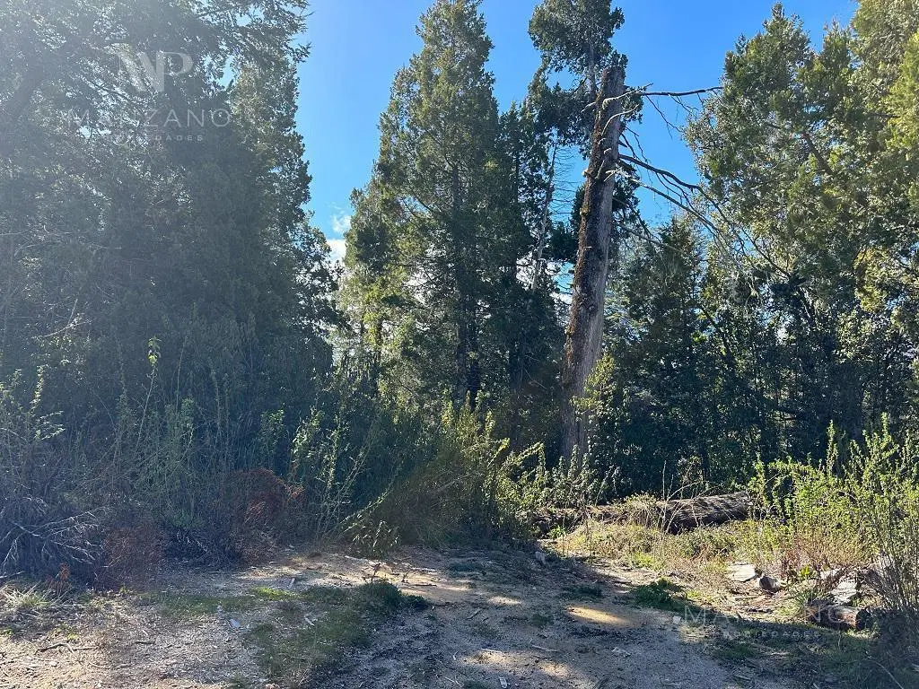 Venta Terreno - Lote 1261 m2 Barrio Selvana - Villa la Angostura 3
